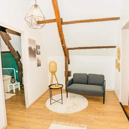 Nid Douillet La Cour Du Dauphin, Vue Cathedrale Imprenable Apartment *