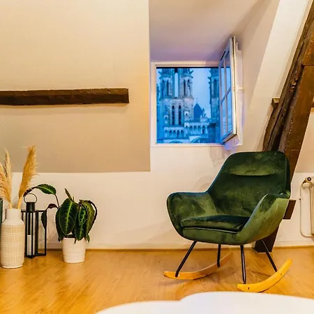 Appartement Nid Douillet La Cour Du Dauphin, Vue Cathedrale Imprenable Laon